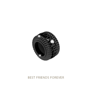 Fiksen obesek 'Best friends forever'